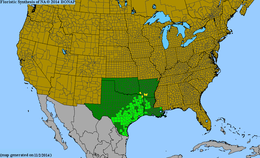 County distribution map of Delphinium carolinianum ssp. vimineum - Carolina Larkspur